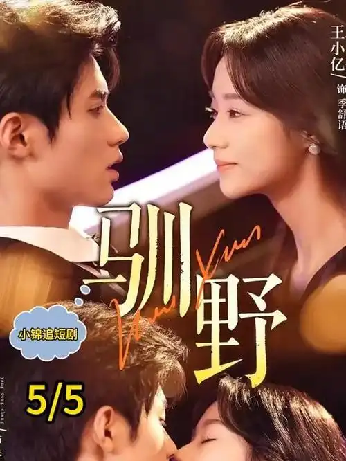 天天影院剧集《归途列车》高清海报在线观看